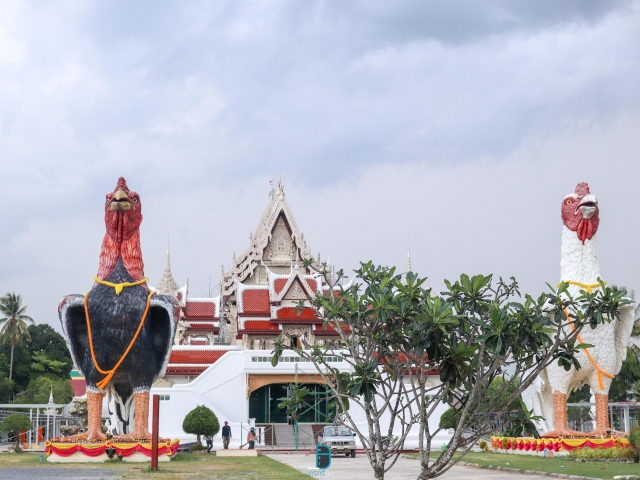 วัดเจดีย์ (ไอ้ไข่) อ.สิชล
